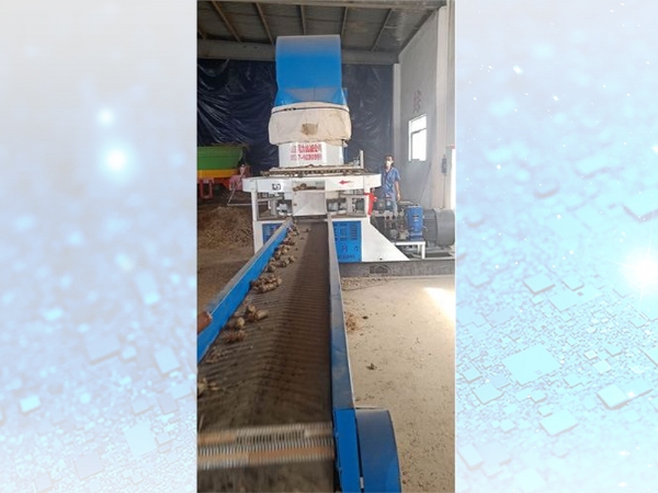 安徽望(wang)江縣